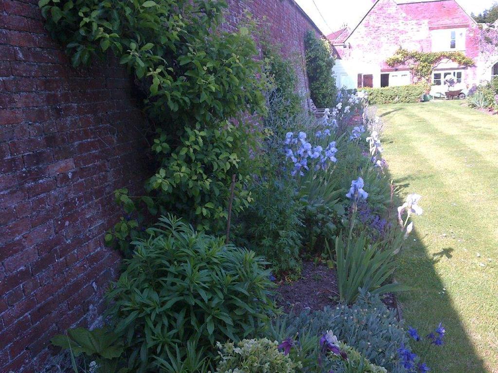 Coxley House Bed & Breakfast Wells Exterior foto
